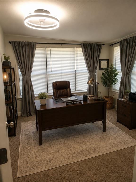 5209 Sarasota Drive, Garland TX 75043 - Photo 10