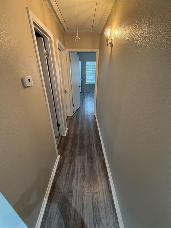 4103 Esters Road # 208, Irving TX 75038 - Photo 10