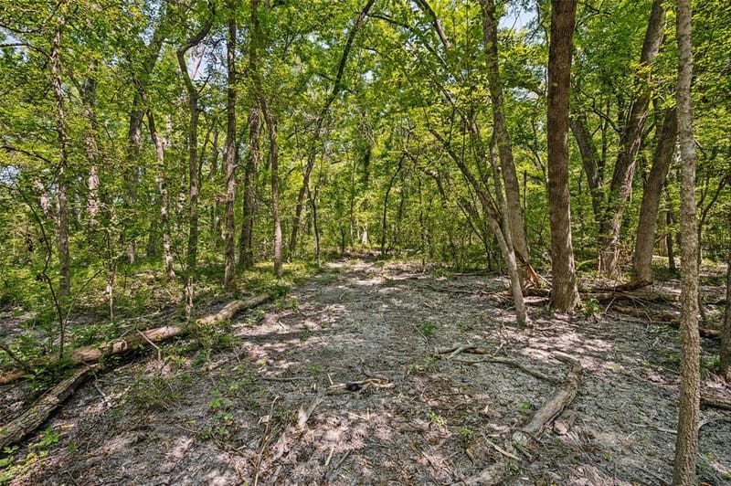555 Yowell Hill Road, Tom Bean TX 75491 - Photo 27