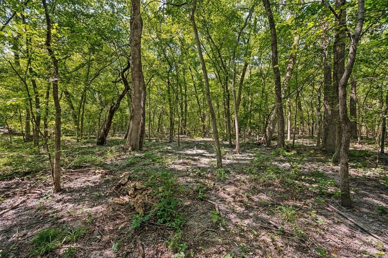 555 Yowell Hill Road, Tom Bean TX 75491 - Photo 8