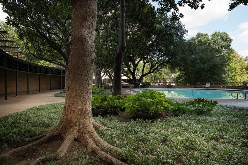 3525 Turtle Creek Boulevard # 11D, Dallas TX 75219 - Photo 29