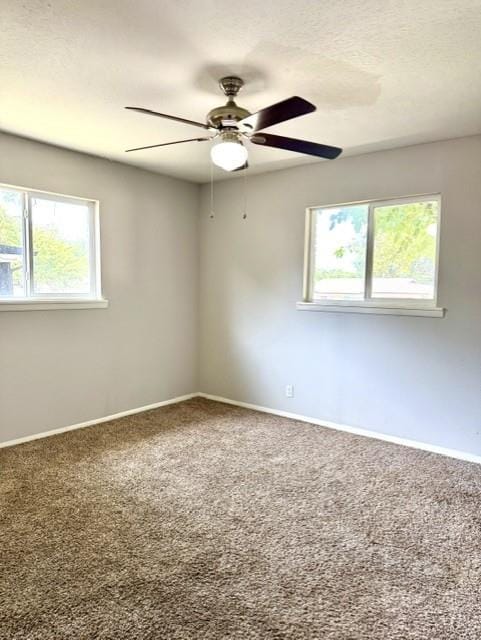 3912 Shawnee Trail, Lake Worth TX 76135 - Photo 10