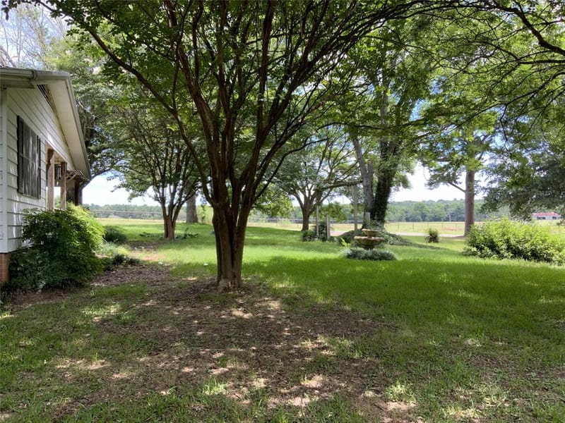 16926 County Road 4336, Larue TX 75770 - Photo 6