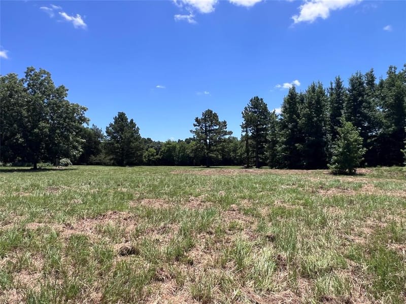 16926 County Road 4336, Larue TX 75770 - Photo 36