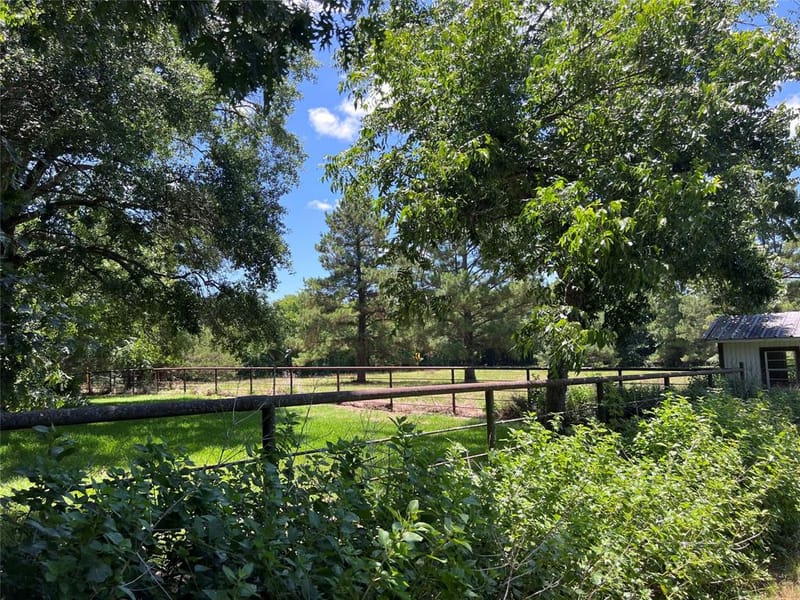 16926 County Road 4336, Larue TX 75770 - Photo 28