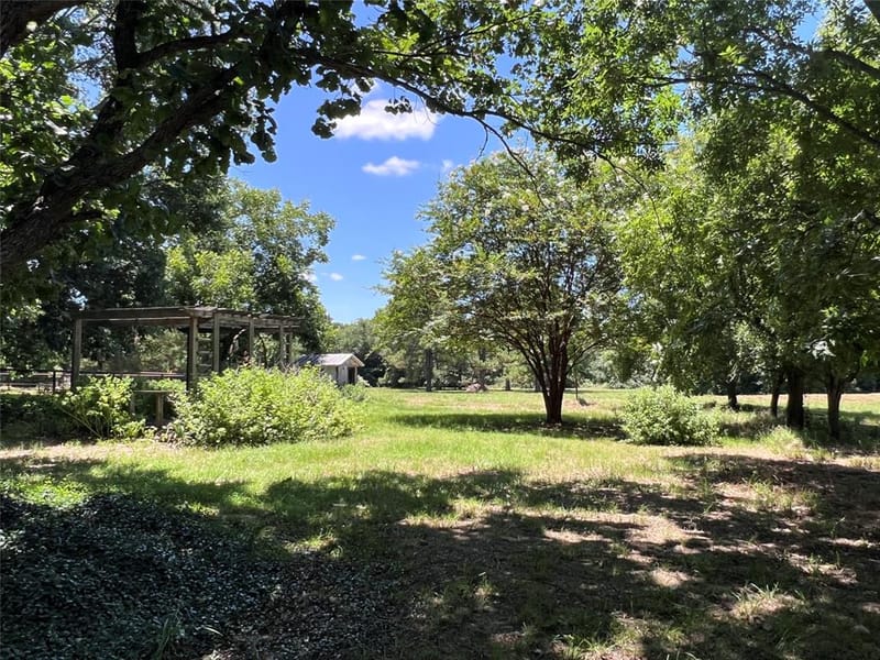 16926 County Road 4336, Larue TX 75770 - Photo 30