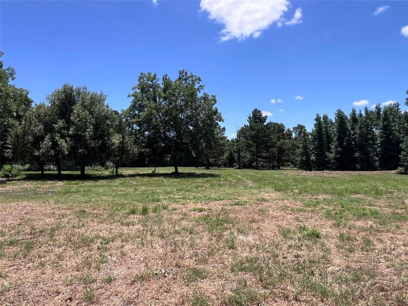 16926 County Road 4336, Larue TX 75770 - Photo 34
