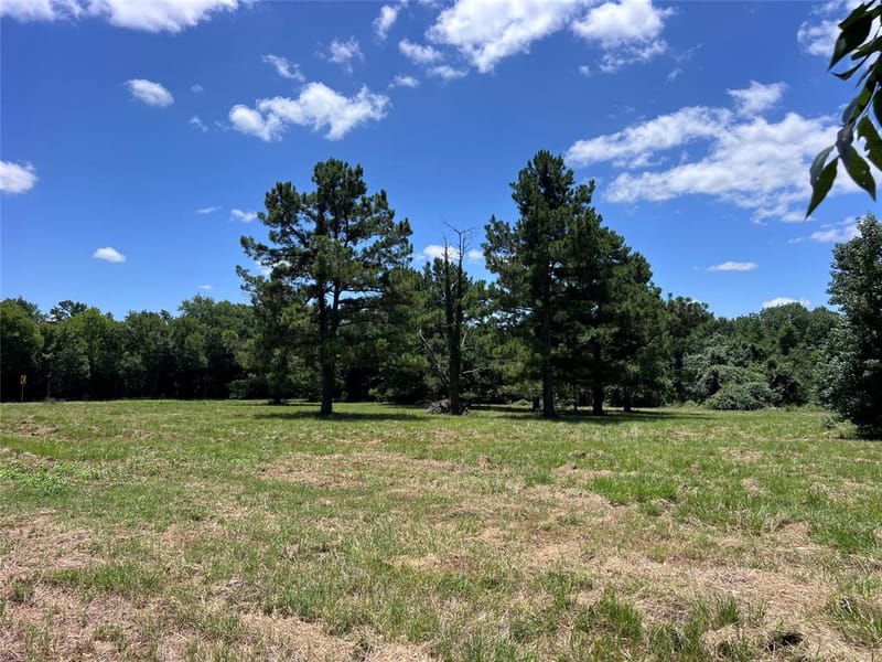16926 County Road 4336, Larue TX 75770 - Photo 38