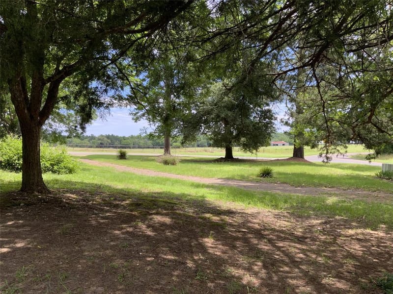 16926 County Road 4336, Larue TX 75770 - Photo 10