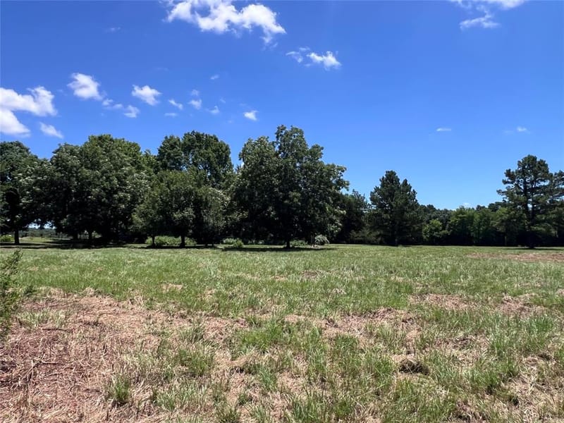 16926 County Road 4336, Larue TX 75770 - Photo 37