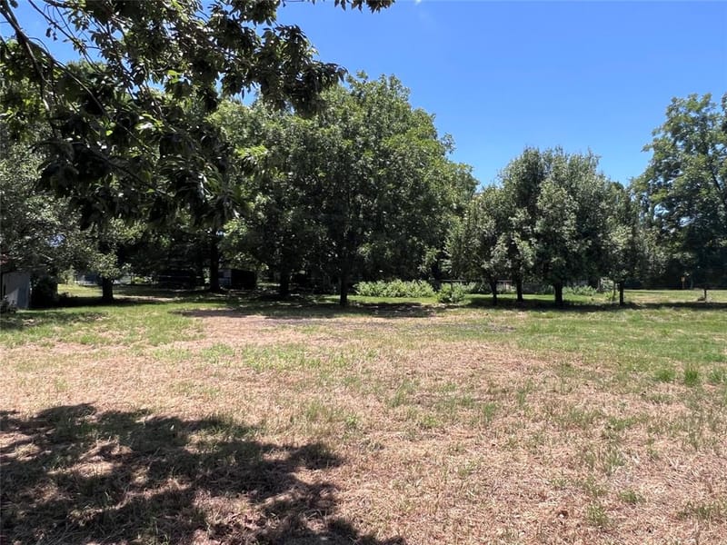 16926 County Road 4336, Larue TX 75770 - Photo 35