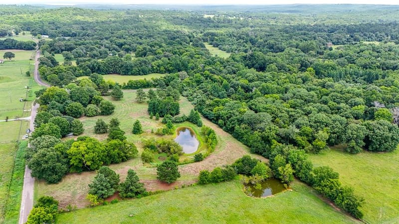 16926 County Road 4336, Larue TX 75770 - Photo 39