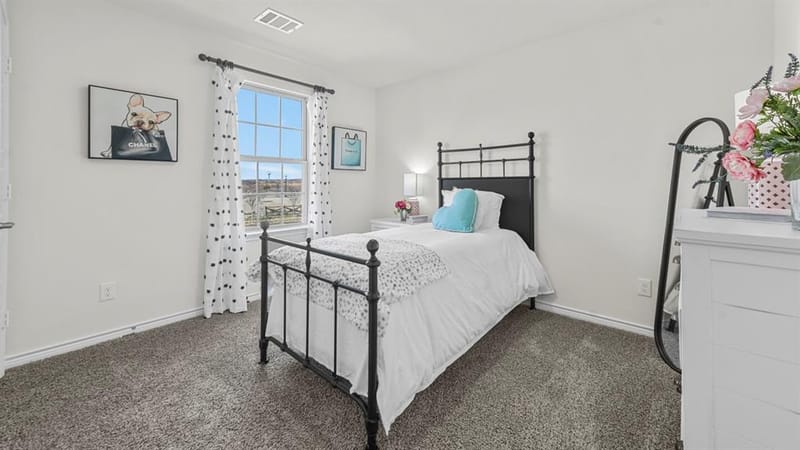 2011 Serene Springs Road, Celina TX 75009 - Photo 6