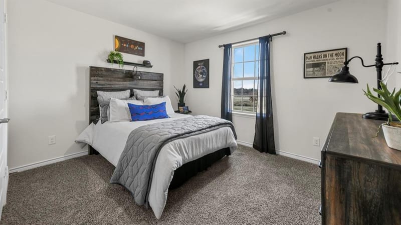 2011 Serene Springs Road, Celina TX 75009 - Photo 9