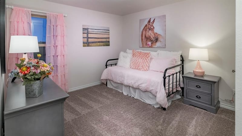 2019 Serene Springs Road, Celina TX 75009 - Photo 6