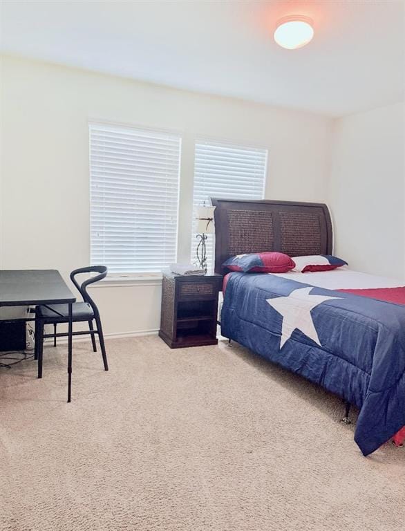 2302 San Marcos Drive, Forney TX 75126 - Photo 19