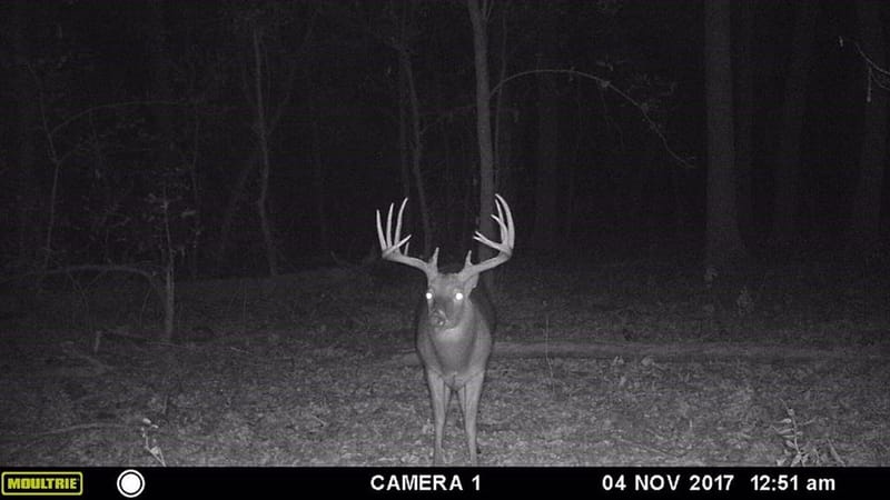 3875 Fm 121, Van Alstyne TX 75495 - Photo 40