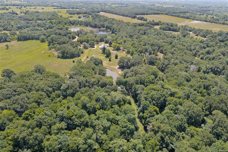 822 Private Road 7370, Point TX 75472 - Photo 7