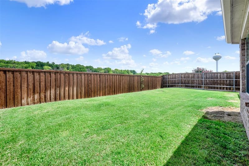 11217 Gibbons Creek Drive, Frisco TX 75036 - Photo 29