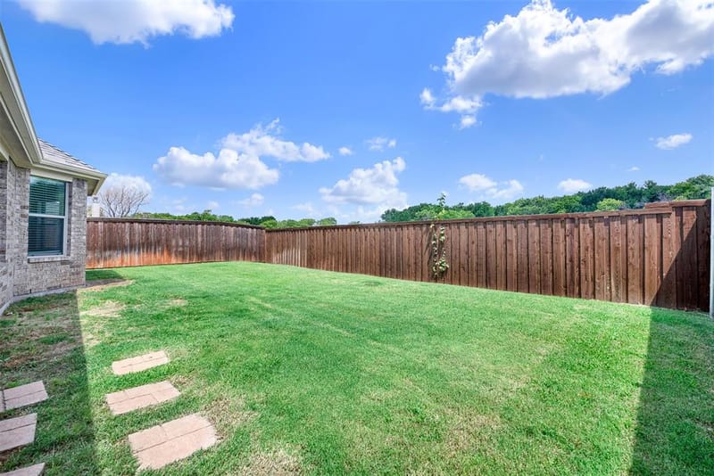 11217 Gibbons Creek Drive, Frisco TX 75036 - Photo 25