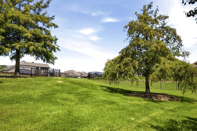 801 Emerling Drive, McKinney TX 75069 - Photo 22