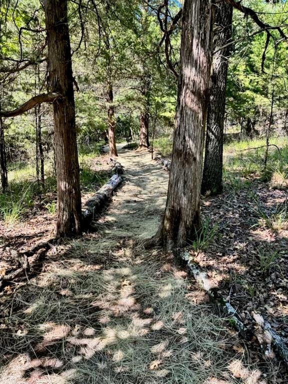9006 Fallow Run, Larue TX 75770 - Photo 33