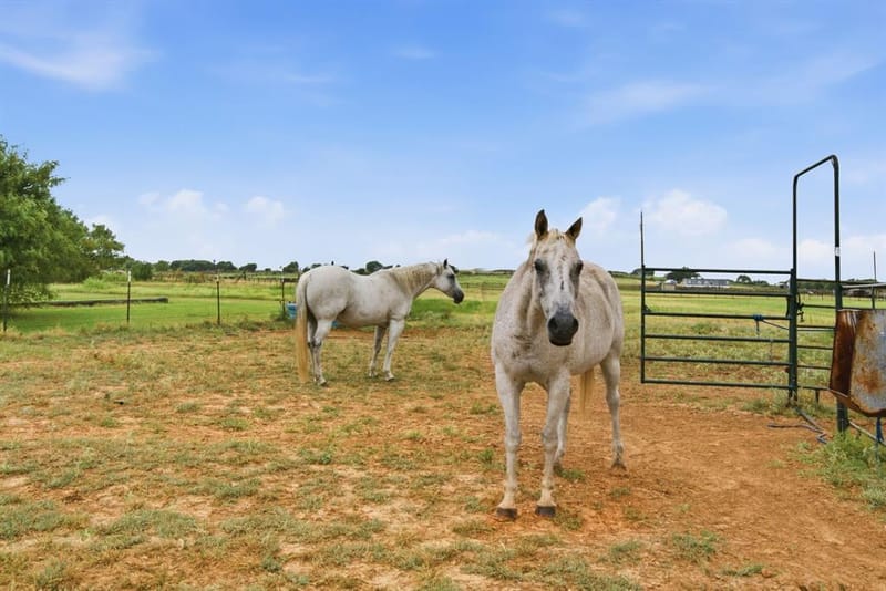 660 County Road 127, Stephenville TX 76401 - Photo 36
