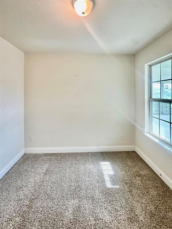 310 S Justin Avenue, Dallas TX 75211 - Photo 21