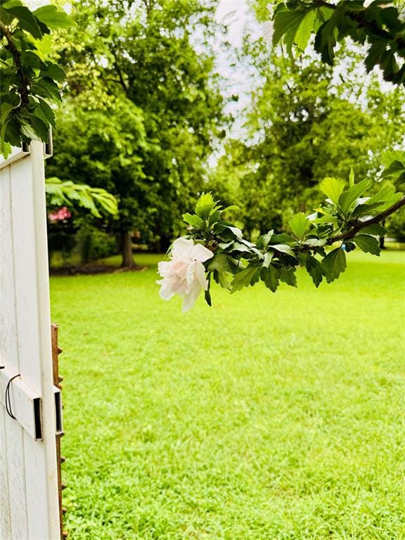 2025 Walworth Street, Greenville TX 75401 - Photo 5