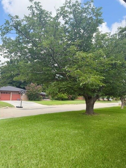 4504 Delwood Drive, Brownwood TX 76801 - Photo 6