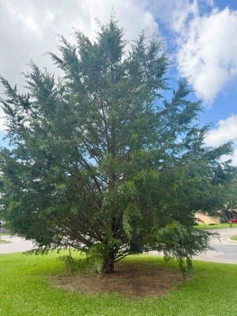 4504 Delwood Drive, Brownwood TX 76801 - Photo 5