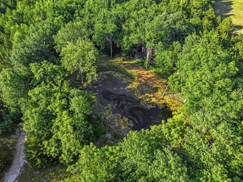 511 County Road 4264, Leonard TX 75452 - Photo 24