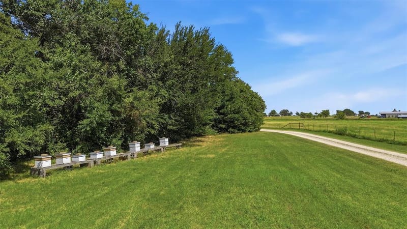 1226 County Road 243, Collinsville TX 76233 - Photo 29