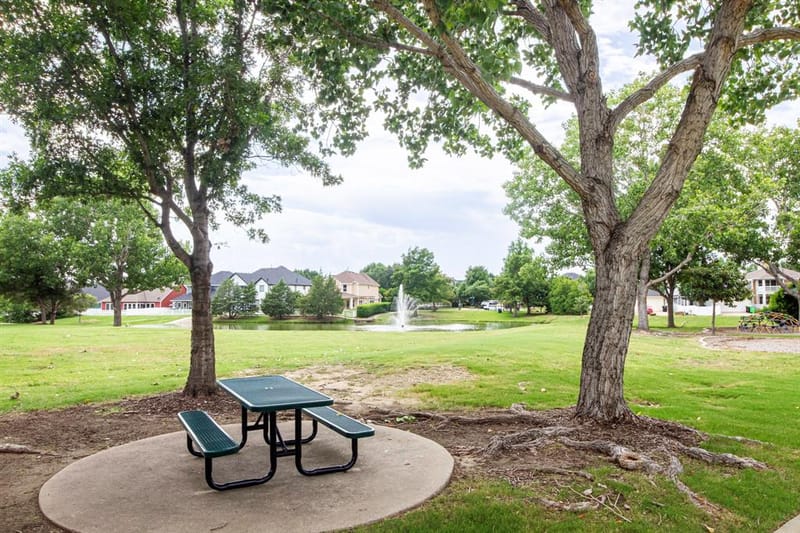 1609 Jasmine Trail, Savannah TX 76227 - Photo 21