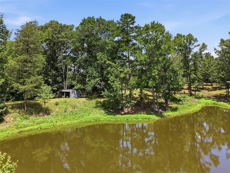 159 County Road 3195, Winnsboro TX 75494 - Photo 38