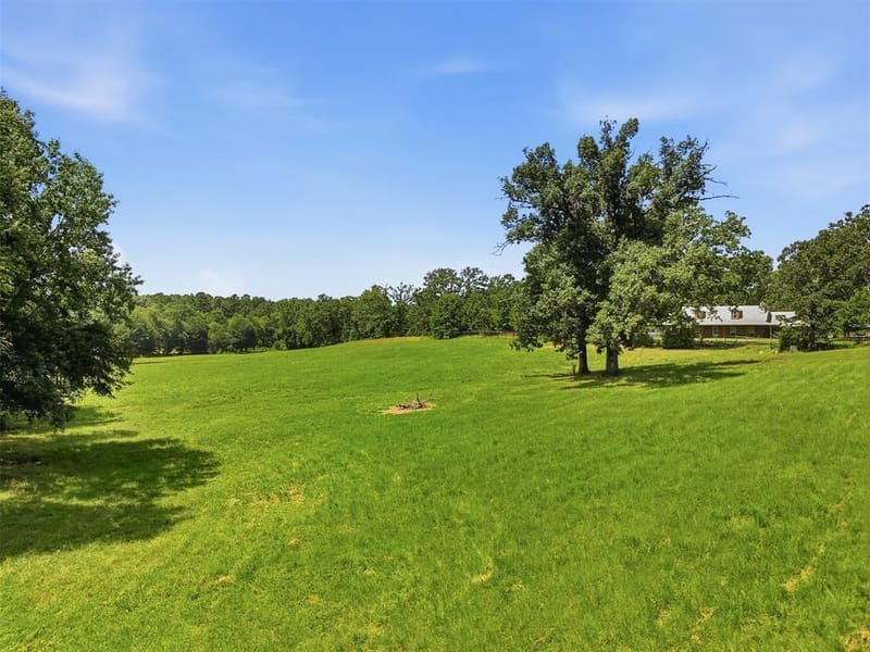 159 County Road 3195, Winnsboro TX 75494 - Photo 35