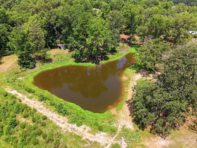 159 County Road 3195, Winnsboro TX 75494 - Photo 39