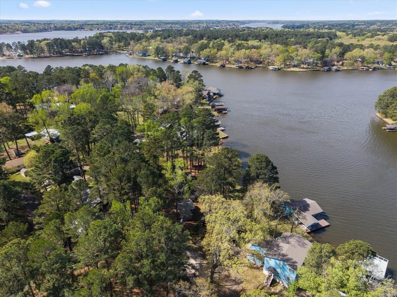230 Lake Drive, Mount Vernon TX 75457 - Photo 29