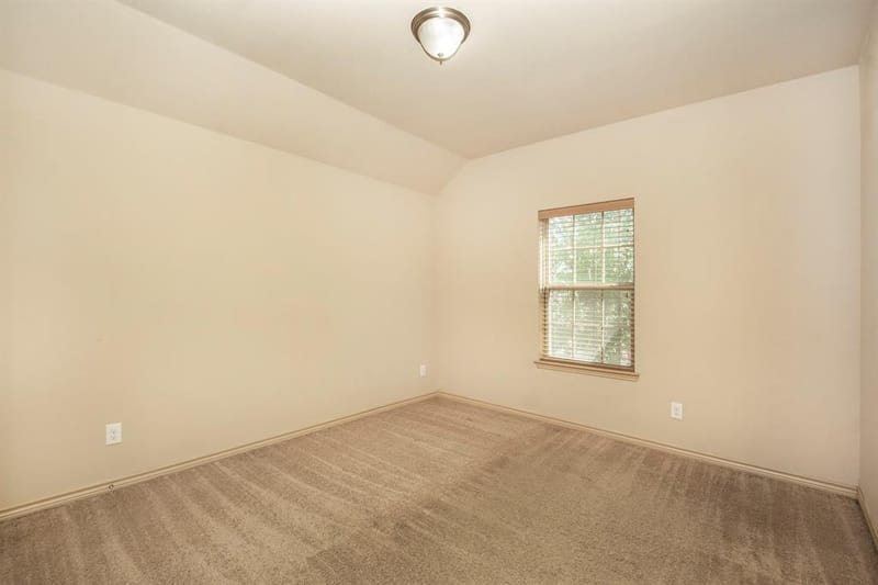 11713 Summer Springs Drive, Frisco TX 75036 - Photo 22