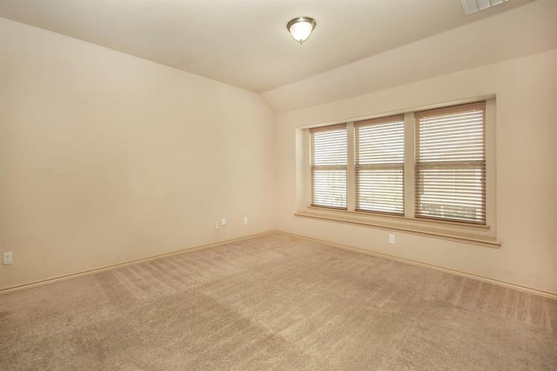 11713 Summer Springs Drive, Frisco TX 75036 - Photo 20