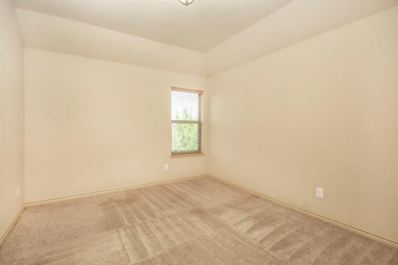 11713 Summer Springs Drive, Frisco TX 75036 - Photo 21