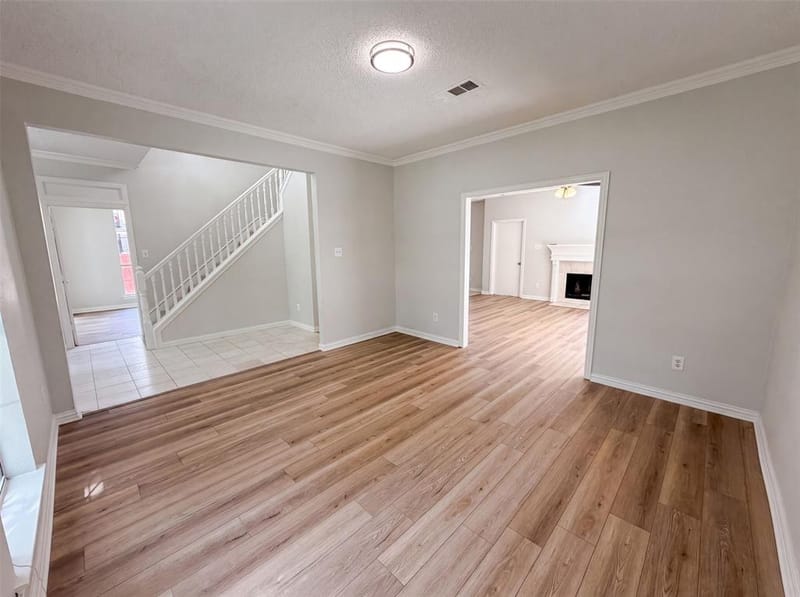 317 Riverwalk Lane, Irving TX 75063 - Photo 3