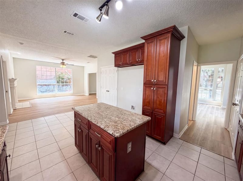 317 Riverwalk Lane, Irving TX 75063 - Photo 15