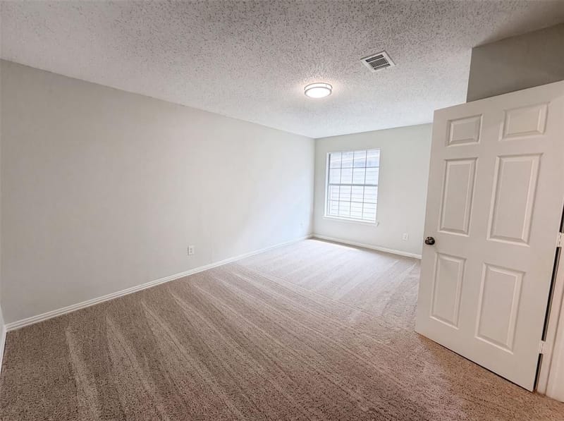 317 Riverwalk Lane, Irving TX 75063 - Photo 4