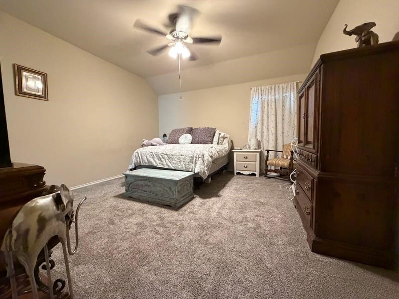 207 Patriot Parkway, Forney TX 75126 - Photo 17