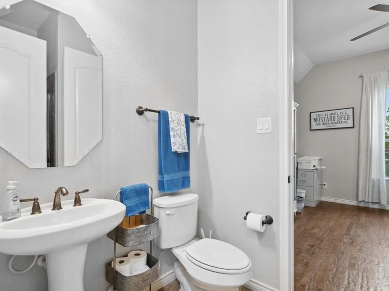25459 Dove Hollow Drive, Justin TX 76247 - Photo 22