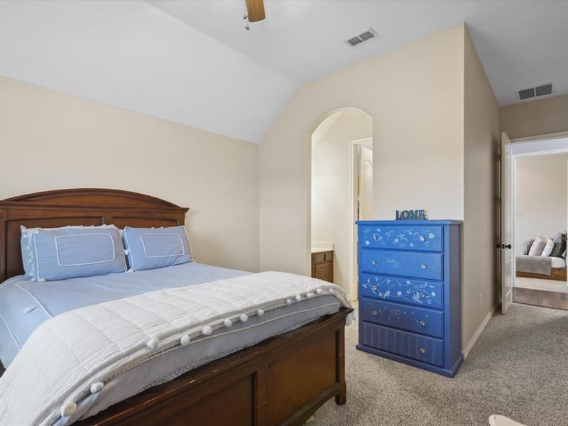 25459 Dove Hollow Drive, Justin TX 76247 - Photo 28