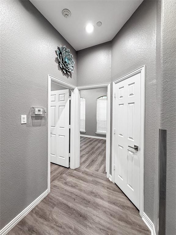 3259 Cedar Creek Trail, Frisco TX 75034 - Photo 27