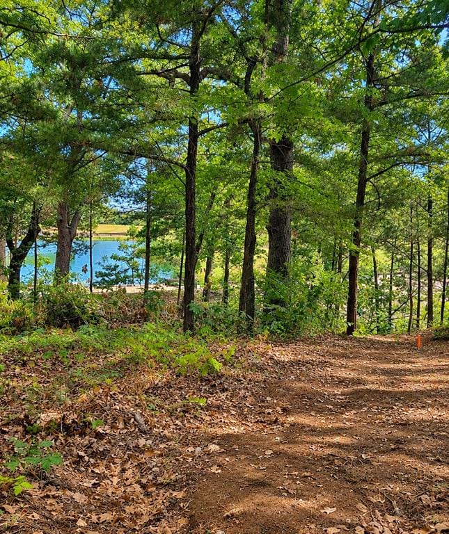 280 Roaring Fork Circle, Gordonville TX 76245 - Photo 2