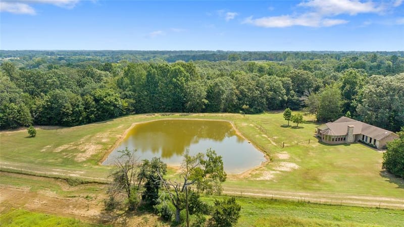 253 County Road 2412, Winnsboro TX 75471 - Photo 6